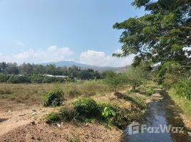  Land for sale in Chiang Mai, Ban Luang, Chom Thong, Chiang Mai