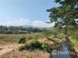  Земельный участок for sale in Чианг Маи, Ban Luang, Чом Тхонг, Чианг Маи