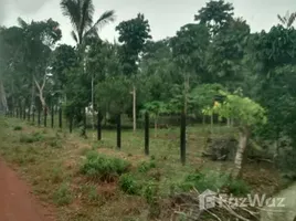  Terreno for sale in Amazonas, Boca do Acre, Amazonas