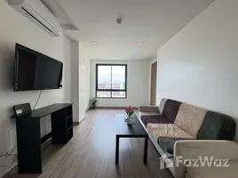 1 Bedroom Condo for rent at The Future Condo, Wichit, Phuket Town, Phuket, Thailand