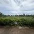  Land for sale in Chak Phong, Rayong, Chak Phong, Klaeng