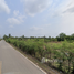  토지을(를) Nakhon Pathom에서 판매합니다., 코크 프라 체디, Nakhon Chai Si, Nakhon Pathom