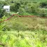  Land for sale in Panama, Plaza Caisan, Renacimiento, Chiriqui, Panama