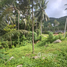  Land for sale in Koh Samui Surat Thani, Maret, Koh Samui