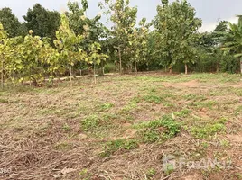  Terrain for sale in Phitsanulok, Wang Thong, Wang Thong, Phitsanulok