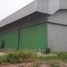  Warehouse for sale in Hankha, Chai Nat, Wang Kai Thuean, Hankha