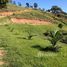  Terrain for sale in Fernando De Noronha, Rio Grande do Norte, Fernando De Noronha, Fernando De Noronha