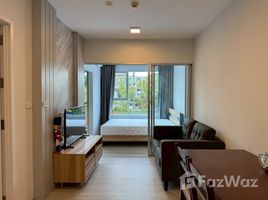 อพาร์ทเม้นท์ 1 ห้องนอน ให้เช่า ในโครงการ พลัม คอนโด สุขุมวิท 62, บางจาก, พระโขนง, กรุงเทพมหานคร