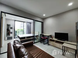 1 Bedroom Condo for rent at Palm Springs Nimman (Parlor), Suthep