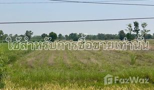 N/A Grundstück zu verkaufen in Sawang Arom, Uthai Thani 