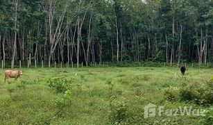 N/A Land for sale in Khao Chaison, Phatthalung 