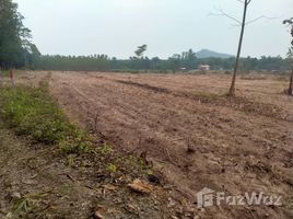  Terrain for sale in Chon Buri, Nong Suea Chang, Nong Yai, Chon Buri