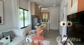 ยูนิตมือสองและให้เช่า