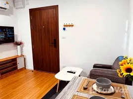 Studio Apartment for rent at Cerocco Bangna 36, Bang Na, Bang Na, Bangkok