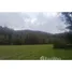  Land for sale in Cautin, Araucania, Villarrica, Cautin