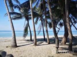 N/A Terrain a vendre à Taphong, Rayong Land Plot for Sale 800 meters from Mae Ramphueng Beach