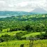 在Alajuela出售的 土地, San Carlos, Alajuela