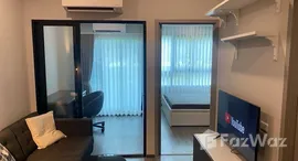 ยูนิตมือสองและให้เช่า