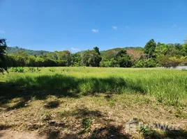 ขายที่ดิน ใน ป่าคลอก, ภูเก็ต, ป่าคลอก