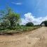 Terrain à vendre à San Felipe De Puerto Plata, Puerto Plata, San Felipe De Puerto Plata, Puerto Plata, République dominicaine