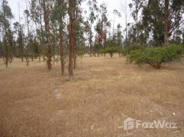  Terreno (Parcela) en venta en Zapallar, Puchuncavi