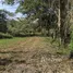  Land for sale in Hua Hin, Nong Phlap, Hua Hin
