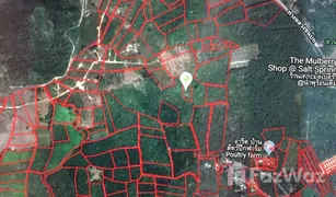 N/A Land for sale in Huai Nam Khao, Krabi 