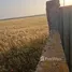  Terreno (Parcela) en venta en Ain El Aoud, Rabat Sale Zemmour Zaer, Ain El Aoud, Skhirate Temara, Rabat Sale Zemmour Zaer, Marruecos