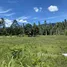  Land for sale in Khanom, Nakhon Si Thammarat, Khanom