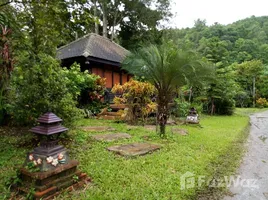  Land for sale in Chiang Mai, Pa Pae, Mae Taeng, Chiang Mai