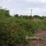  Land for sale in Chachoengsao, Sothon, Mueang Chachoengsao, Chachoengsao