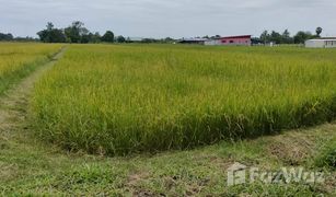 N/A Grundstück zu verkaufen in Sila, Khon Kaen 