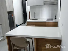 1 Bedroom Penthouse for rent at Kim Yam Road, Institution hill, River valley