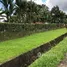 4 Schlafzimmer Haus zu verkaufen in Pococi, Limon, Pococi, Limon, Costa Rica