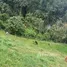  Grundstück zu verkaufen in Entrerrios, Antioquia, Entrerrios, Antioquia, Kolumbien