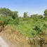  Land for sale in Khlong Niyom Yattra, Samut Prakan, Khlong Niyom Yattra, Bang Bo, Samut Prakan