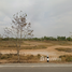  Land for sale in Kalasin, Yang Talat, Yang Talat, Kalasin