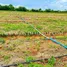  Land for sale in Huai Bong, Nakhon Ratchasima, Huai Bong