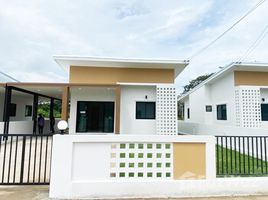 2 Schlafzimmer Haus zu verkaufen im Sandee Village, Nong Faek, Saraphi, Chiang Mai, Thailand