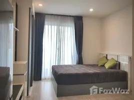 Studio Condo for rent at Ideo Mobi Wongsawang - Interchange, Bang Sue, Bang Sue, Bangkok, Thailand