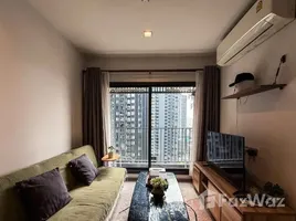 คอนโด 1 ห้องนอน ให้เช่า ในโครงการ ไลฟ์ อโศก ไฮป์, มักกะสัน