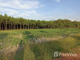  Đất for sale in Việt Nam, Minh Thanh, Dầu Tiếng, Bình Dương, Việt Nam