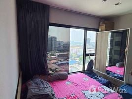ขายคอนโด 1 ห้องนอน ในโครงการ เดอะ โพลิแทน รีฟ, บางกระสอ, เมืองนนทบุรี, นนทบุรี