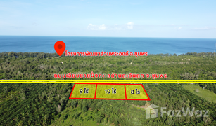 N/A Land for sale in Pak Khlong, Chumphon 