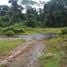  Land for sale in Upala, Alajuela, Upala