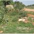  भूमि for sale in Vijayawada, Krishna, Vijayawada