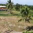  Land for sale in Pran Buri, Prachuap Khiri Khan, Wang Phong, Pran Buri