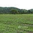  Terrain for sale in Équateur, Manglaralto, Santa Elena, Santa Elena, Équateur