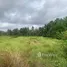  Land for sale in Canggu, Badung, Canggu