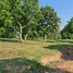  Land for sale in Chiang Rai, Huai Sak, Mueang Chiang Rai, Chiang Rai
